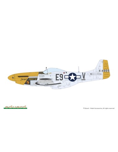 MIGHTY EIGHT: 65th Fighter Wing 
