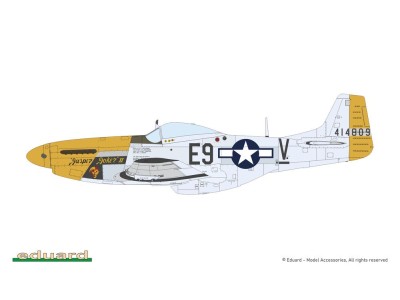 MIGHTY EIGHT: 65th Fighter Wing 