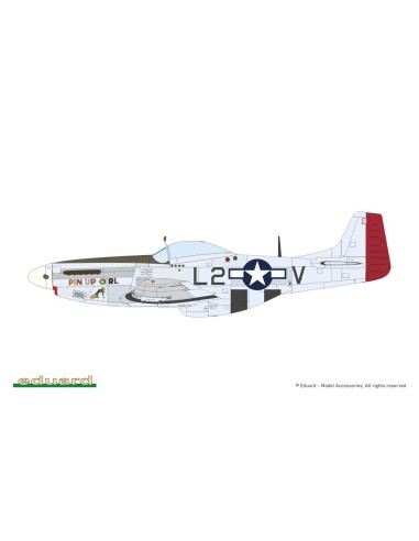 MIGHTY EIGHT: 65th Fighter Wing 