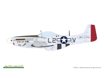 MIGHTY EIGHT: 65th Fighter Wing 