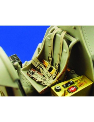 TBF/TBM seatbelts 