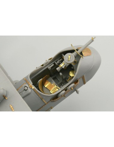 DH-2 für Roden 