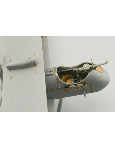 DH-2 für Roden 