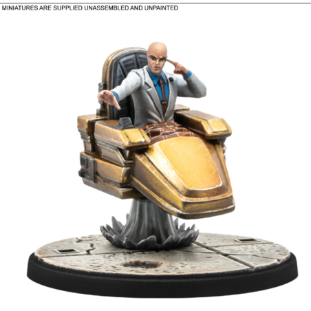 Professor X & Shadow King