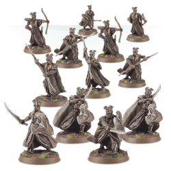 MIRKWOOD ARMOURED ELVES WARBAND