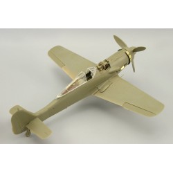 Fw 190D-9 für Eduard  2