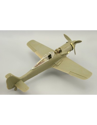 Fw 190D-9 für Eduard 