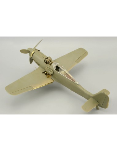 Fw 190D-9 für Eduard 