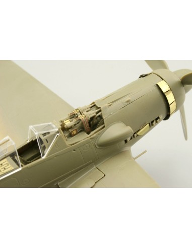Fw 190D-9 für Eduard 