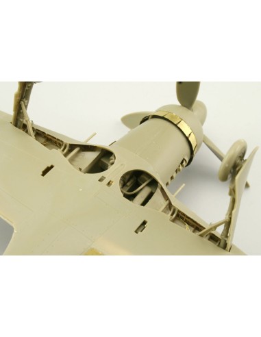 Fw 190D-9 für Eduard 