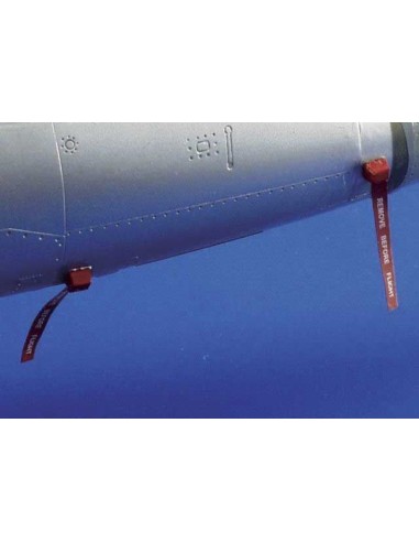 Remove Before Flight 