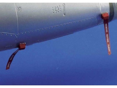 Remove Before Flight 