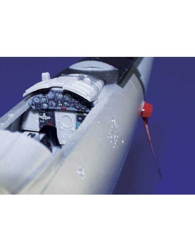 Remove Before Flight 