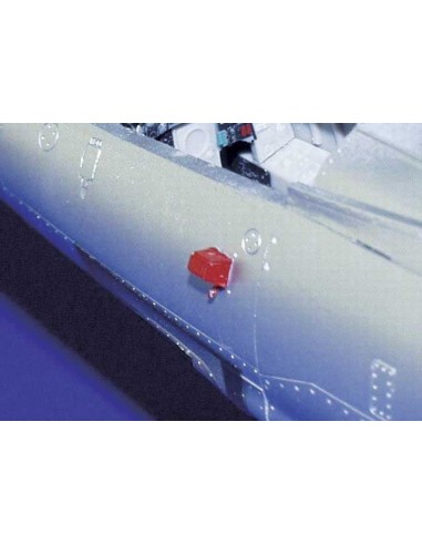 Remove Before Flight 