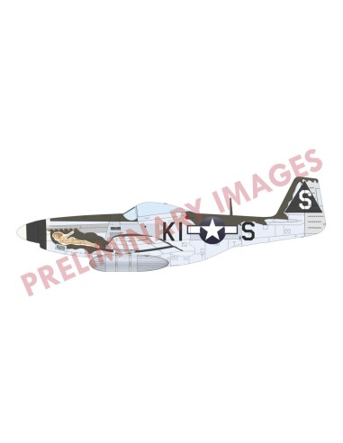 P-51D-5 Mustang  EDUARD-PROFIPACK 