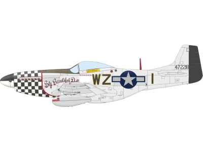 P-51D Mustang  EDUARD-PROFIPACK 