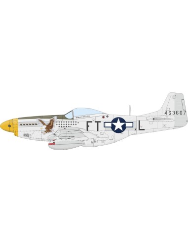 P-51D Mustang  EDUARD-PROFIPACK 