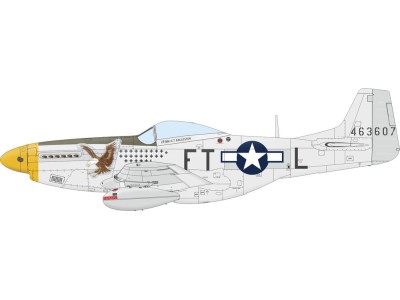 P-51D Mustang  EDUARD-PROFIPACK 