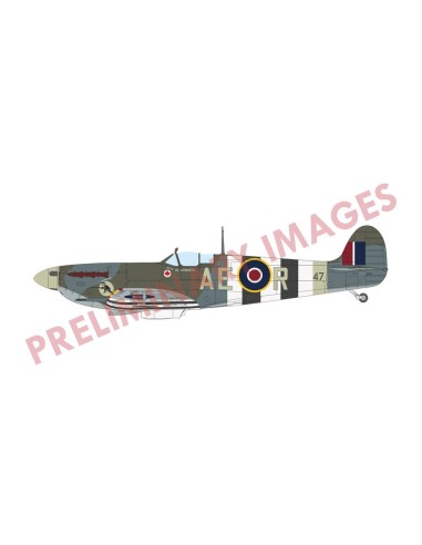 Spitfire Mk.Vb mid 