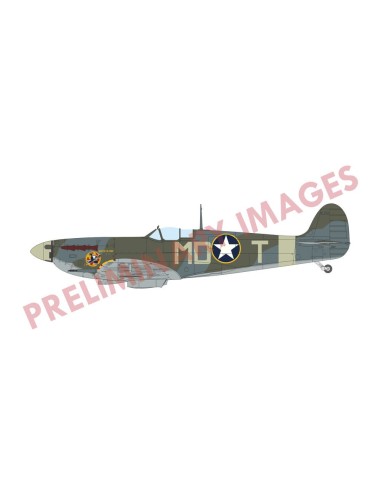 Spitfire Mk.Vb mid 