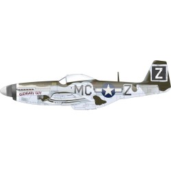 P-51D-5 8th AF   EDUARD 