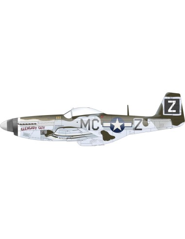 P-51D-5 8th AF   EDUARD 