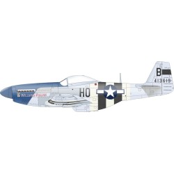P-51D-5 8th AF   EDUARD  2