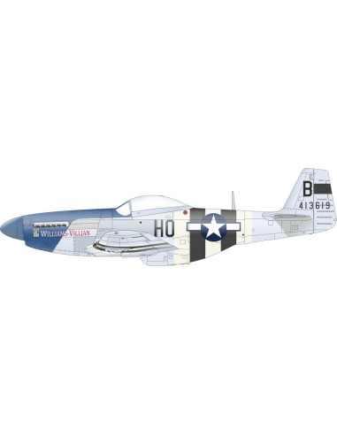 P-51D-5 8th AF   EDUARD 