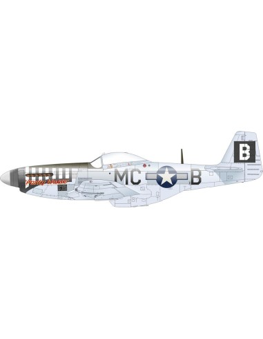 P-51D-5 8th AF   EDUARD 