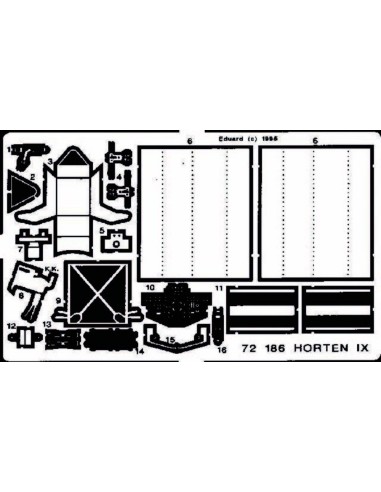 Horten IX/GO 229 