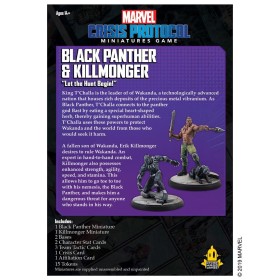 Black Panther and Killmonger