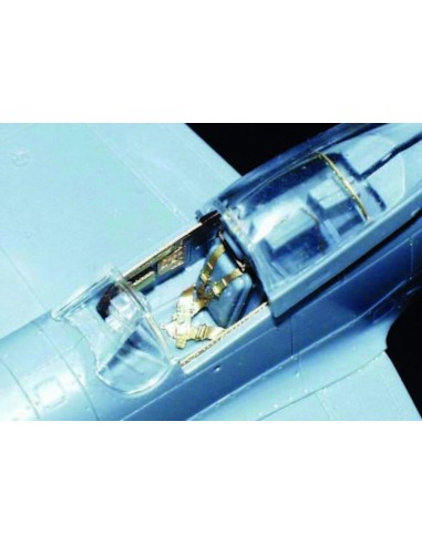 P-51D Mustang 