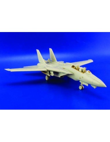 F-14A Tomcat 