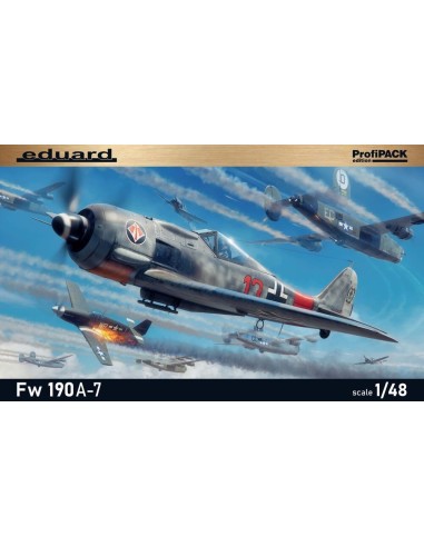Fw 190A-7 1/48 