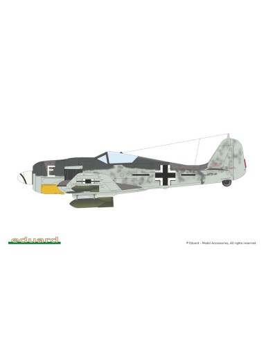 Fw 190F-8, Profipack 