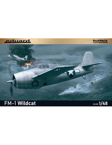 FM-1 Wildcat 1/48 