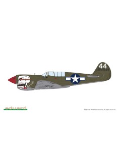 P-40N Warhawk 