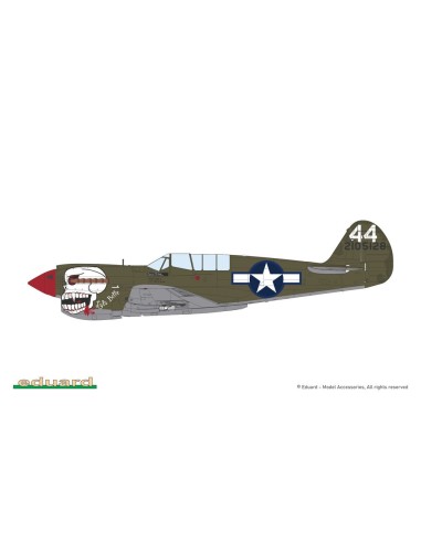 P-40N Warhawk 