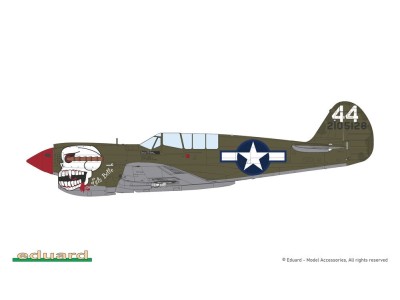 P-40N Warhawk 