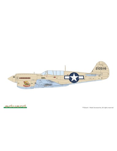 P-40N Warhawk 