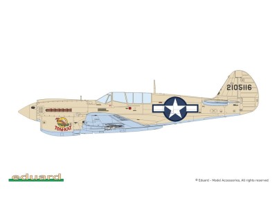 P-40N Warhawk 