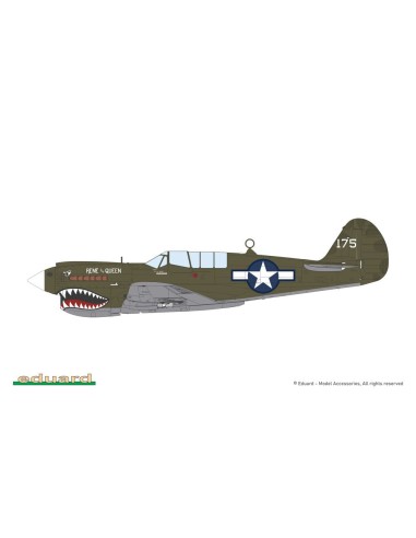 P-40N Warhawk 