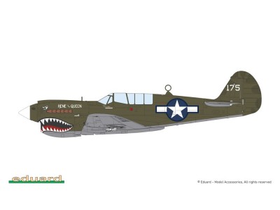 P-40N Warhawk 