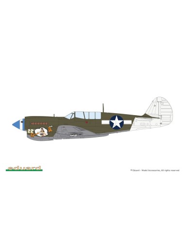 P-40N Warhawk 