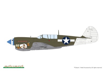 P-40N Warhawk 
