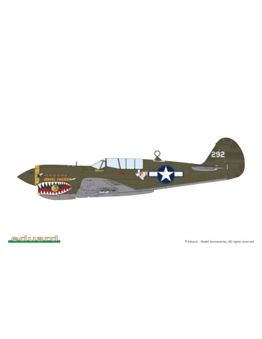 P-40N Warhawk 