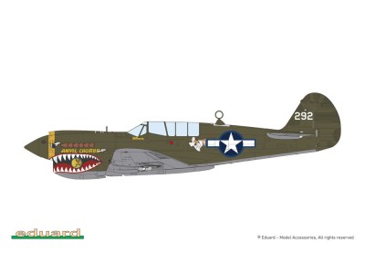 P-40N Warhawk 