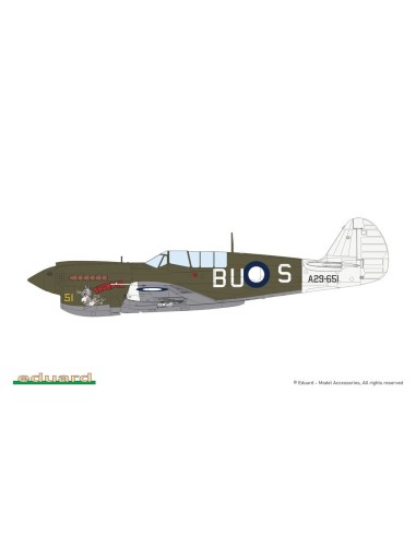 P-40N Warhawk 