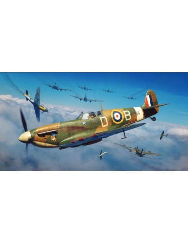 Spitfire Mk.IIa 
