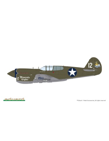P-40E Warhawk 